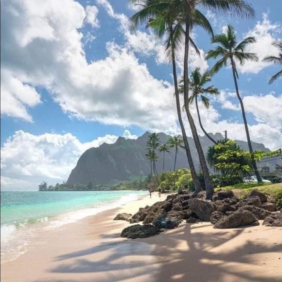 Meet your Posher, Donna! I accept most offers! Make me an offer! Many items! - Picture 7 of 15